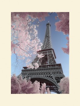 David Clapp (Eiffel Tower Infrared, Paris)
