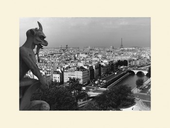 Heiko Lanio (View from Notre-Dame, Paris)