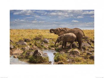 Mario Moreno (Elephants of Maasai Mara)